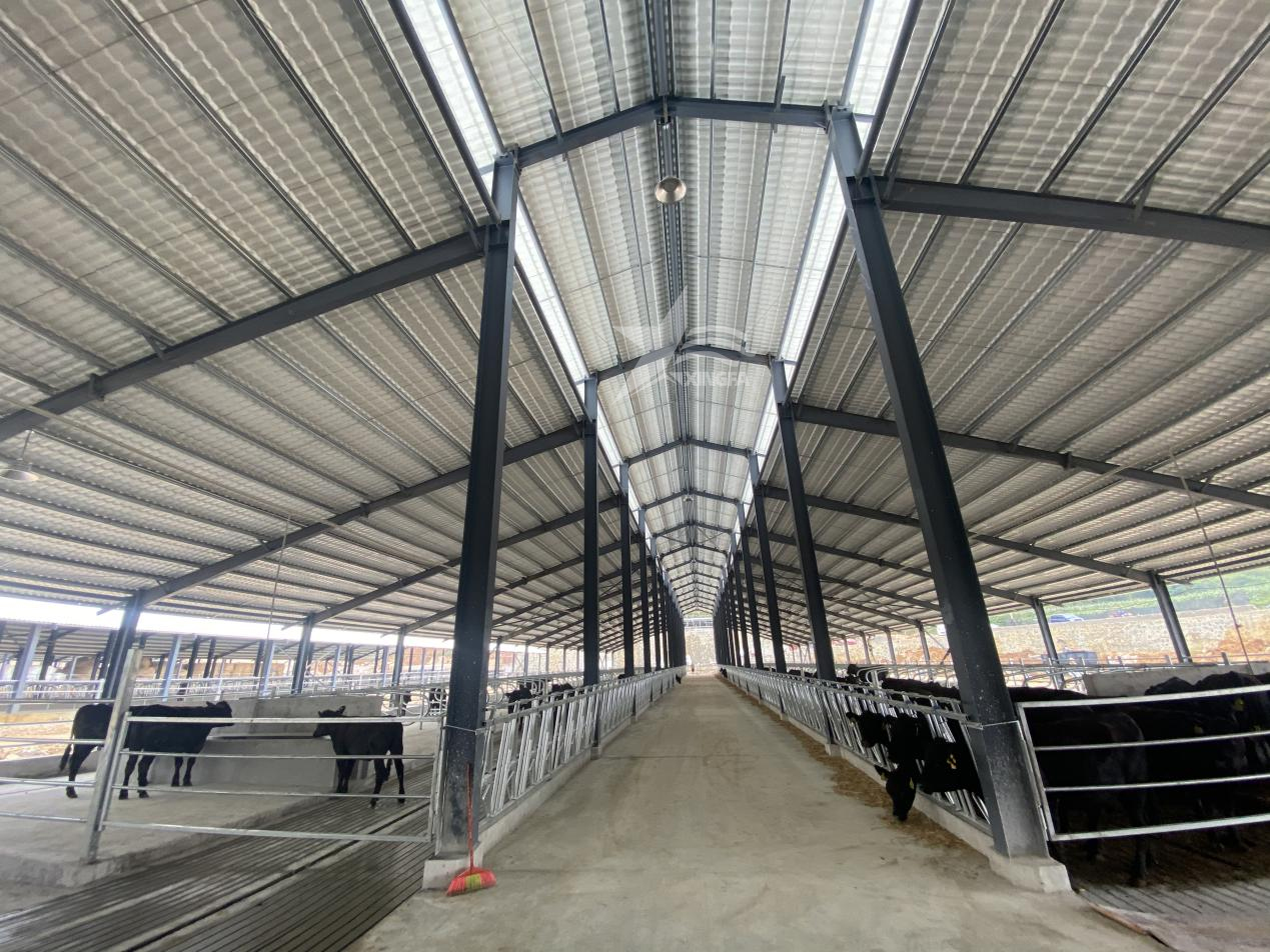 泉州PVC厂房瓦，养殖场工业厂房屋顶改造的优选产品